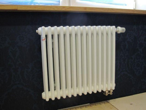 Радиатор Zehnder 3030 6 секций нижнее подключение