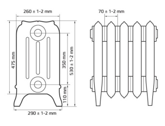 Дизайнерский чугунный радиатор Радимакс Iris 350 (1 секция)