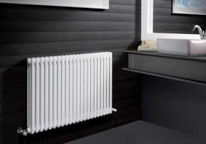Радиатор Arbonia 3057 №69ТВВ 8 секций с нижним подключением