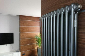 Радиатор Arbonia 2180 6 секций нижнее подключение по центру без термовентиля, цвет anthrazit metallic