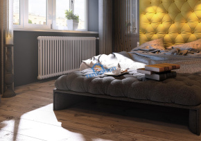 Радиатор Arbonia 2057 8 секций с боковым подключением