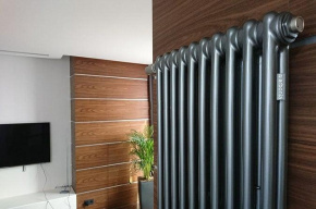 Радиатор Arbonia 2180 4 секций боковое подключение, цвет anthrazit metallic